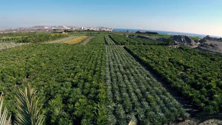 fj-intelligence-casos-de-uso-medipalm-2